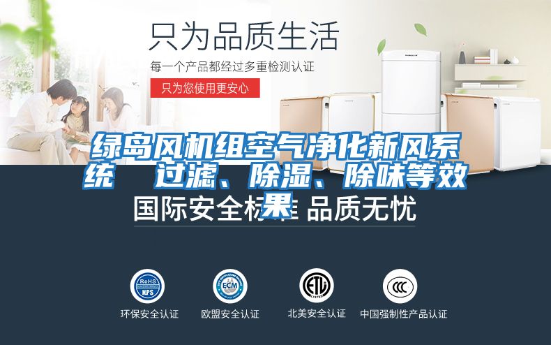 綠島風機組空氣凈化新風系統  過濾、除濕、除味等效果