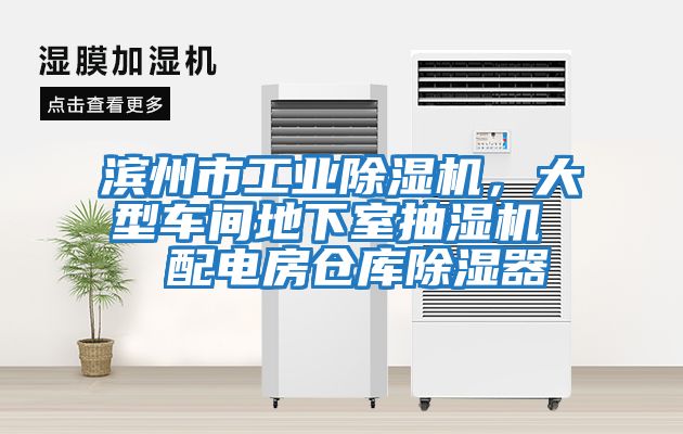 濱州市工業除濕機，大型車間地下室抽濕機  配電房倉庫除濕器