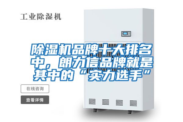 除濕機(jī)品牌十大排名中,朗力信品牌就是其中的“實力選手”