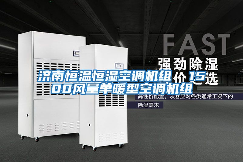 濟(jì)南恒溫恒濕空調(diào)機(jī)組 1500風(fēng)量單暖型空調(diào)機(jī)組