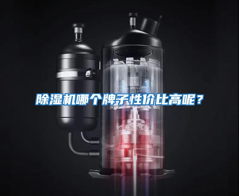 除濕機哪個牌子性價比高呢？