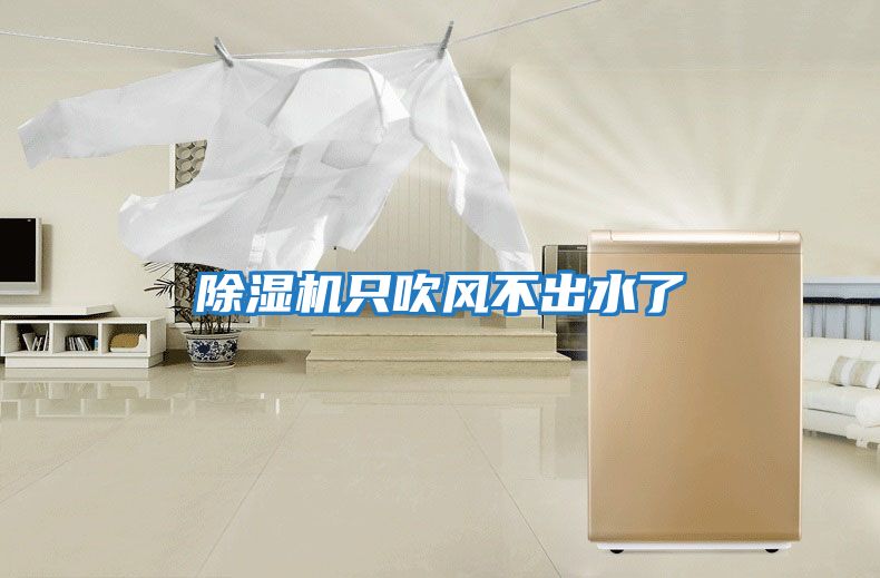 除濕機只吹風不出水了