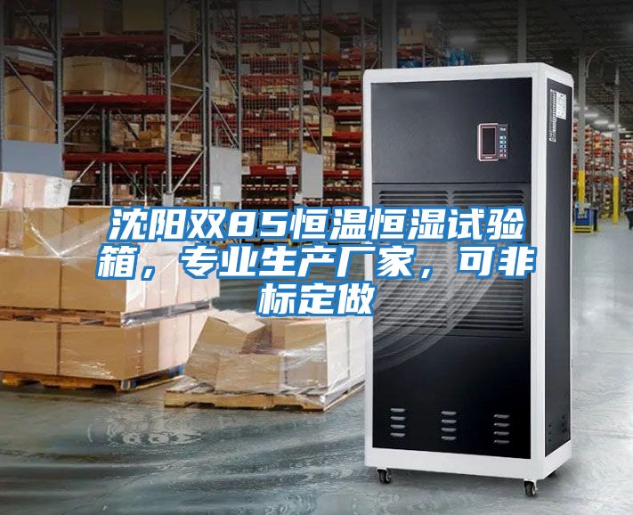 沈陽(yáng)雙85恒溫恒濕試驗(yàn)箱,專(zhuān)業(yè)生產(chǎn)廠家,可非標(biāo)定做