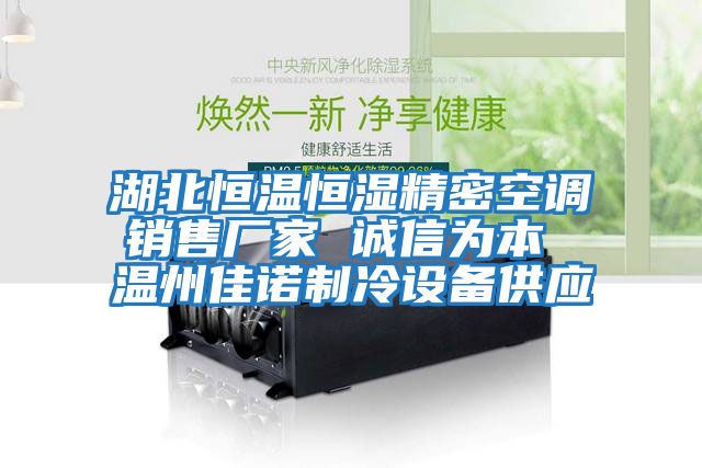 湖北恒溫恒濕精密空調(diào)銷(xiāo)售廠(chǎng)家 誠(chéng)信為本 溫州佳諾制冷設(shè)備供應(yīng)