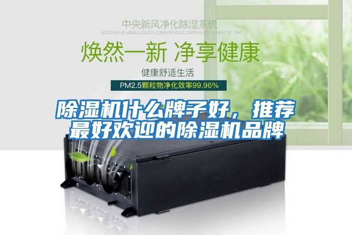 除濕機什么牌子好，推薦最好歡迎的除濕機品牌