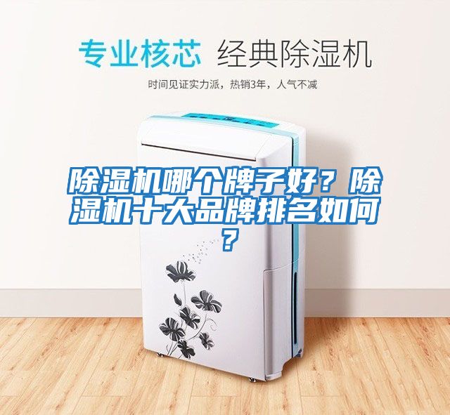 除濕機哪個牌子好？除濕機十大品牌排名如何？