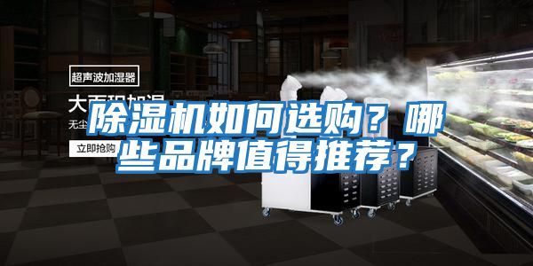 除濕機如何選購？哪些品牌值得推薦？