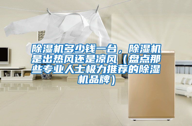 除濕機(jī)多少錢一臺(tái),除濕機(jī)是出熱風(fēng)還是涼風(fēng)(盤點(diǎn)那些專業(yè)人士極力推薦的除濕機(jī)品牌)