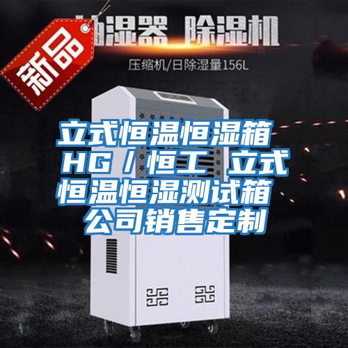 立式恒溫恒濕箱 HG/恒工 立式恒溫恒濕測(cè)試箱 公司銷(xiāo)售定制