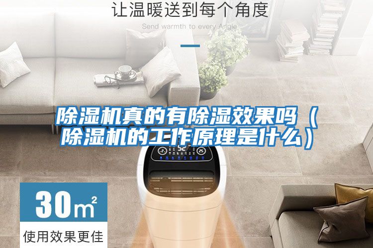 除濕機(jī)真的有除濕效果嗎(除濕機(jī)的工作原理是什么)