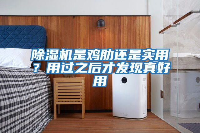除濕機是雞肋還是實用?用過之后才發(fā)現(xiàn)真好用