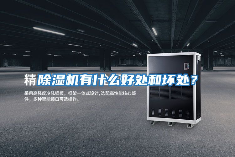 除濕機(jī)有什么好處和壞處？