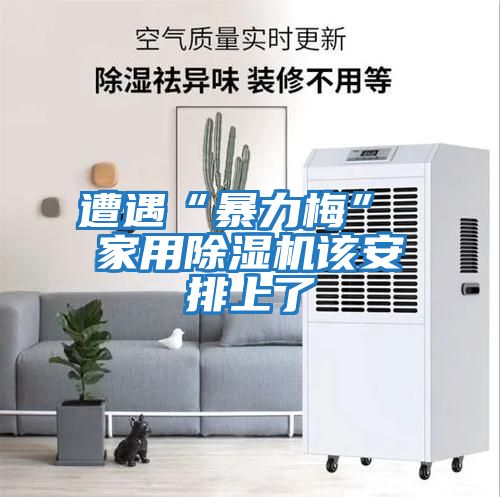 遭遇“暴力梅” 家用除濕機(jī)該安排上了