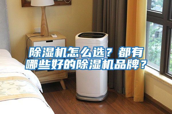 除濕機(jī)怎么選?都有哪些好的除濕機(jī)品牌?