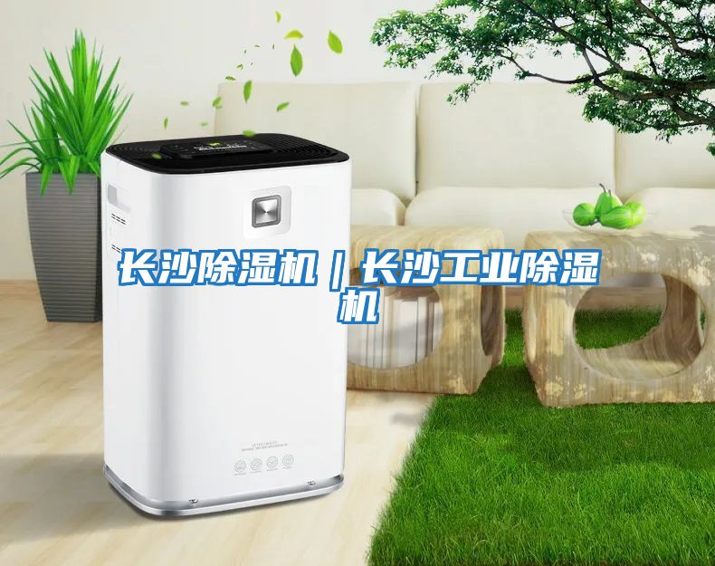 長沙除濕機|長沙工業除濕機