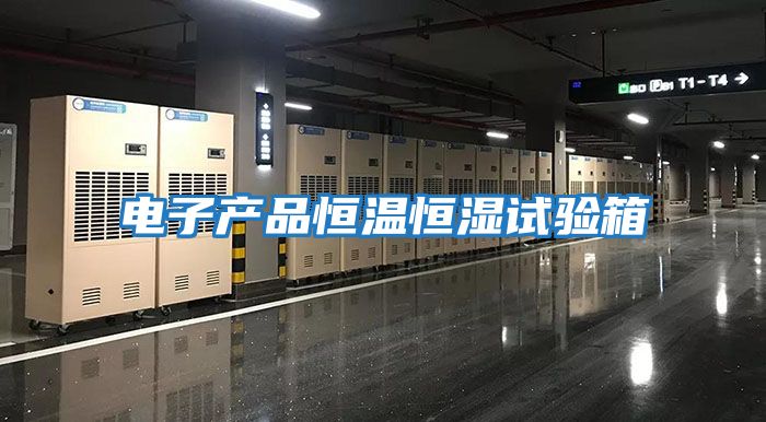 電子產品恒溫恒濕試驗箱