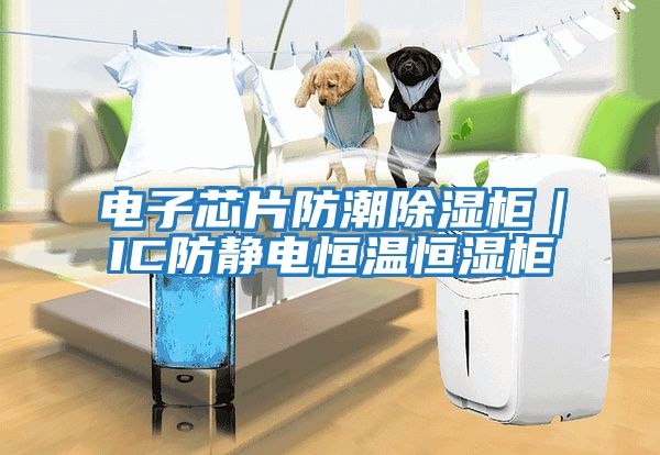電子芯片防潮除濕柜｜IC防靜電恒溫恒濕柜