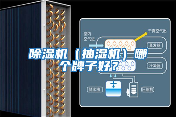 除濕機（抽濕機）哪個牌子好？