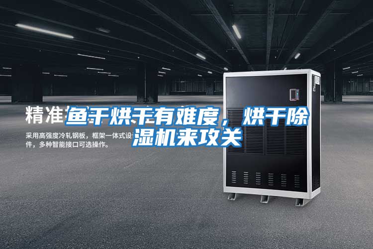 魚(yú)干烘干有難度，烘干除濕機(jī)來(lái)攻關(guān)