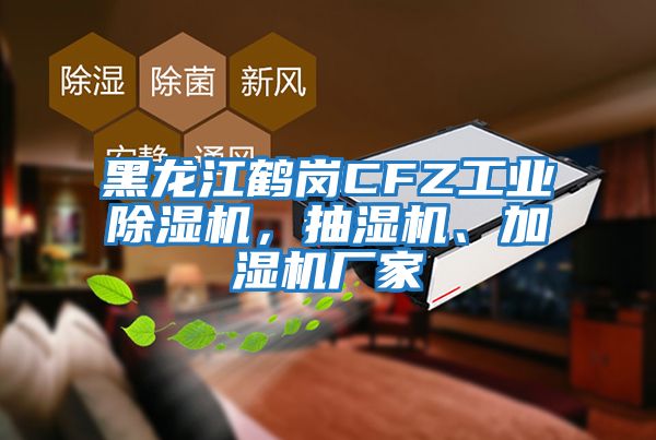 黑龍江鶴崗CFZ工業(yè)除濕機，抽濕機、加濕機廠家