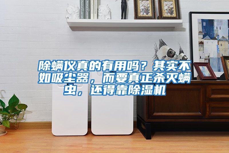 除螨儀真的有用嗎？其實不如吸塵器，而要真正殺滅螨蟲，還得靠除濕機