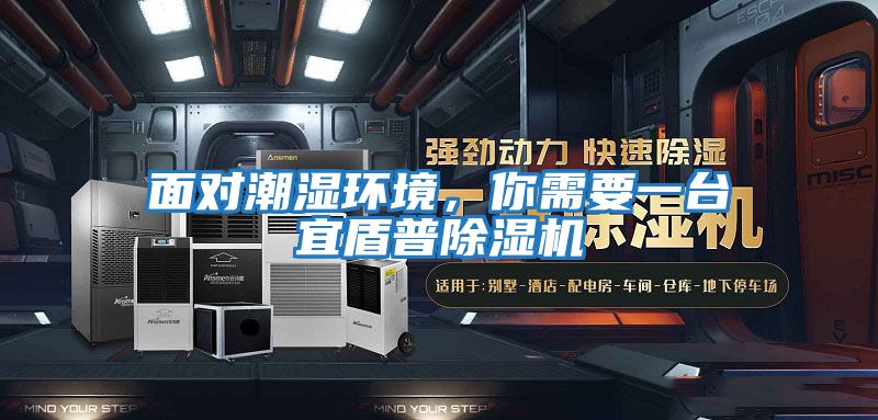 面對潮濕環境，你需要一臺宜盾普除濕機