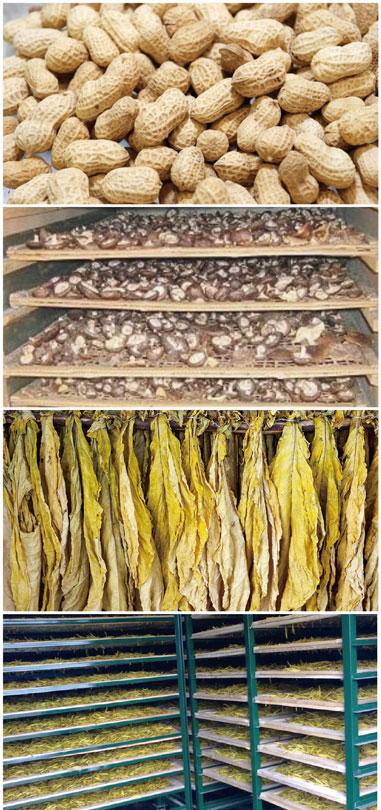 食用菌烘干處理解決方案