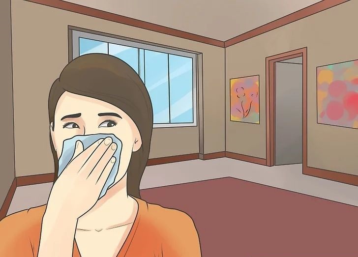 我們什么時候需要使用家用除濕機？