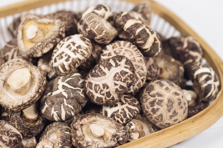 干貨倉庫怎么利用除濕機保持干爽？