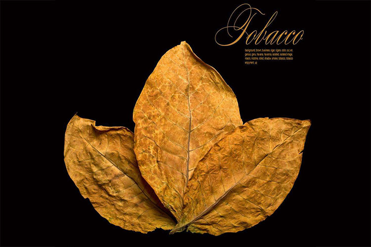 煙草煙葉除濕烘干技術參數(shù) 煙草煙葉干燥除濕機