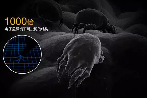 螨蟲高發季，家用除濕機除螨有妙計！